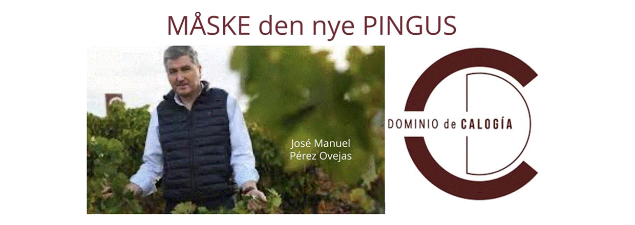 Calogia Cuve S kret til Spaniens bedste vin, samtidig lanceres en ny lillebror