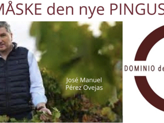 Calogia Cuve S kret til Spaniens bedste vin, samtidig lanceres en ny lillebror