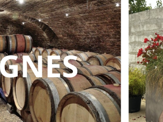 Gode nyheder fra Givry