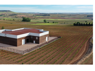 Ny rgang hster hje scorer, Caloga har overhalet Pingus