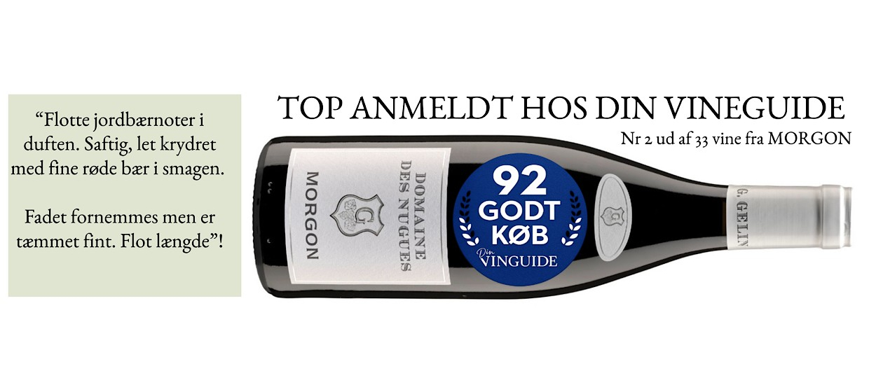 Morgon bedst anmeldt vin