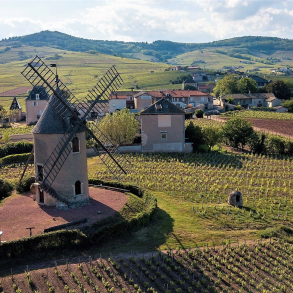 Beaujolais