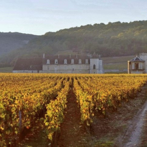 Côte de Nuits