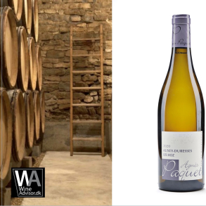 Agns Paquet, Auxey-Duresses Blanc KO