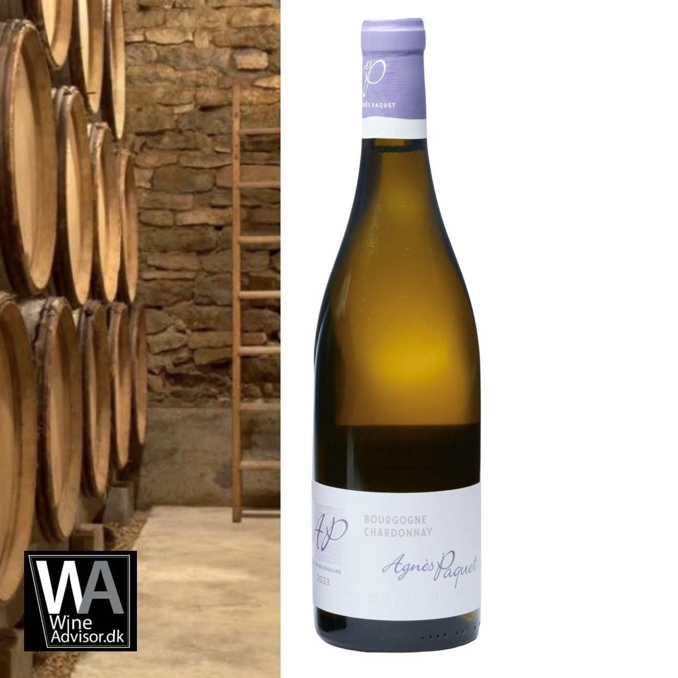 Agn�s Paquet, Bourgogne Chardonnay