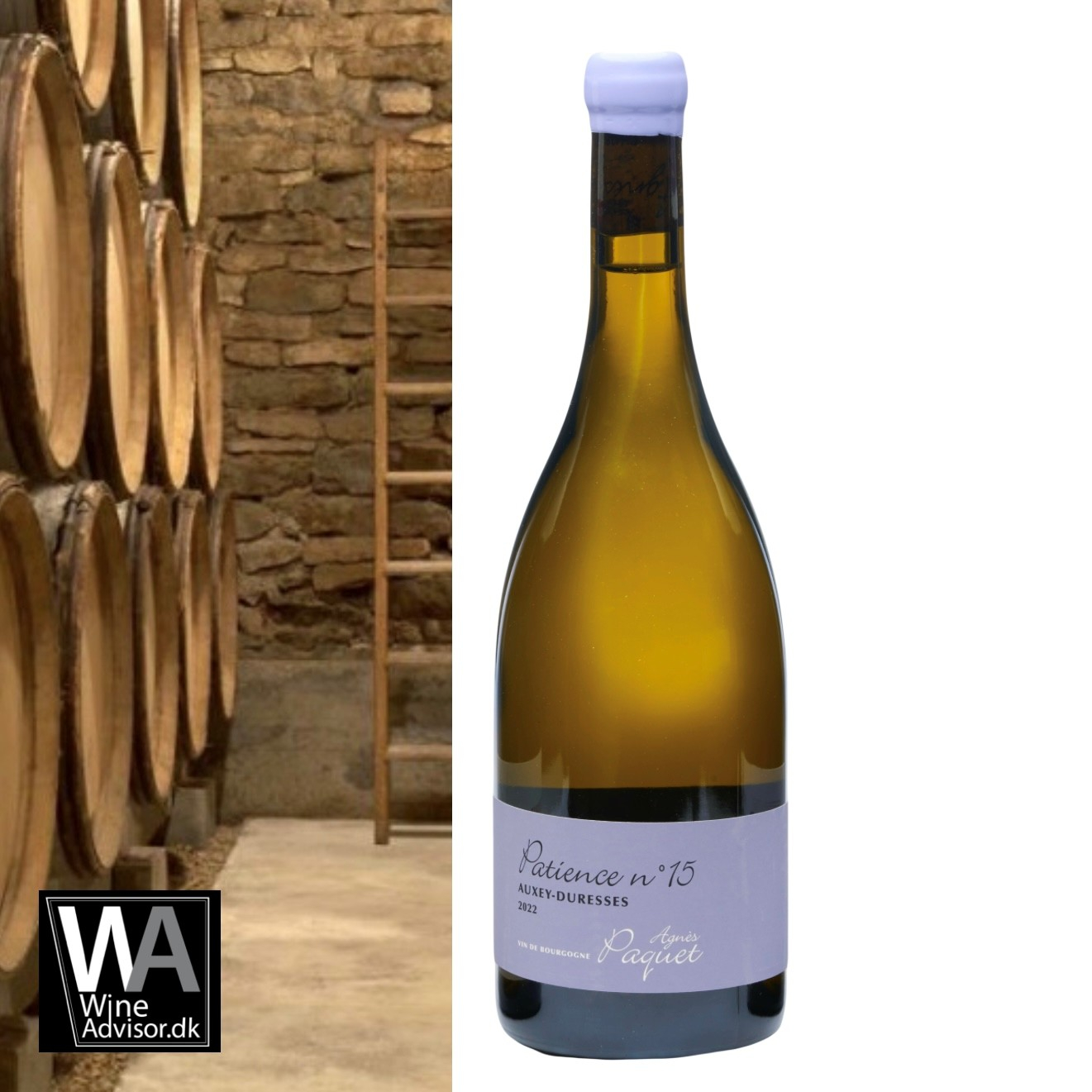 Agn�s Paquet, Patience No. 16 Auxey-Duresses blanc �KO, 2023