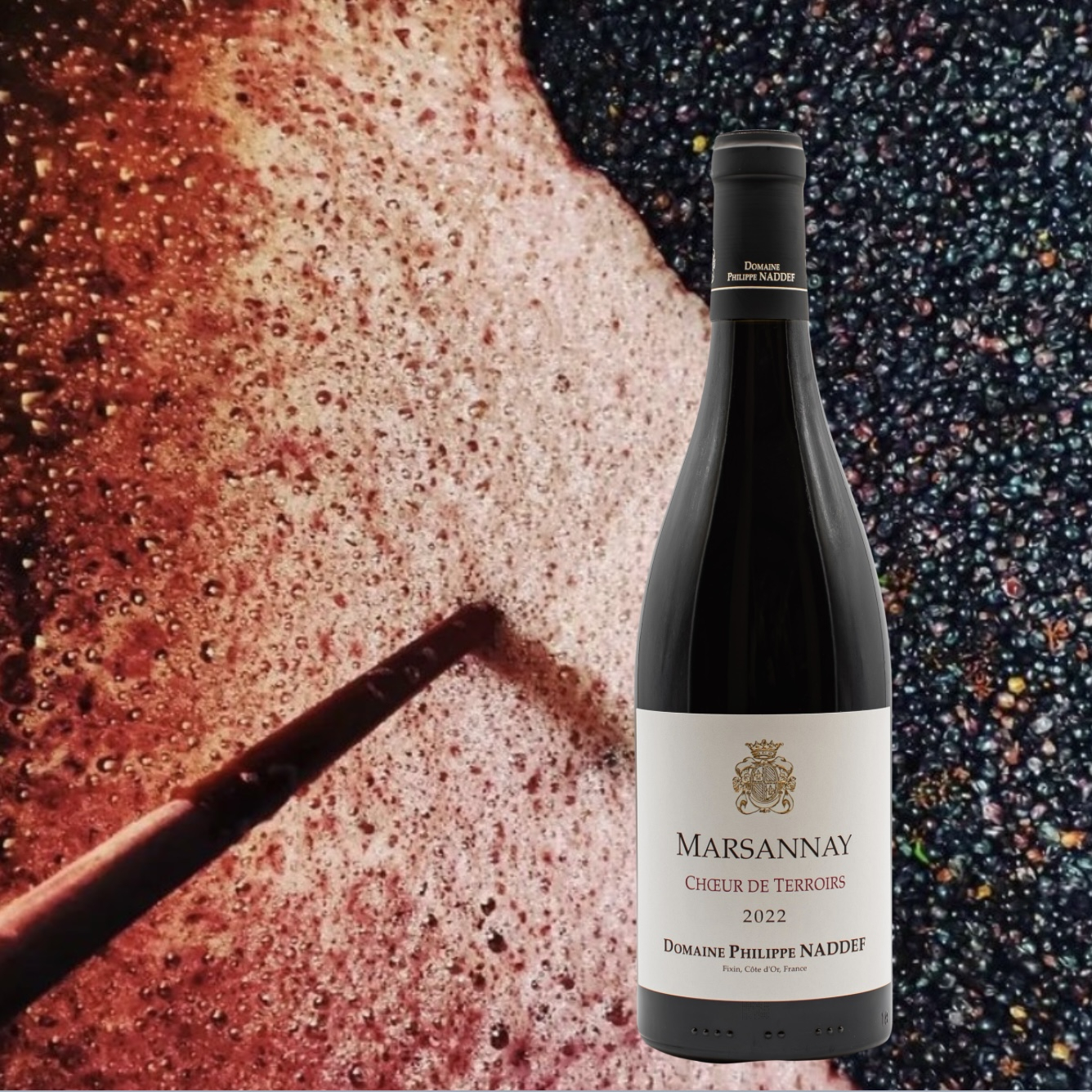 Philippe Naddef, Marsannay Choeur de Terroirs