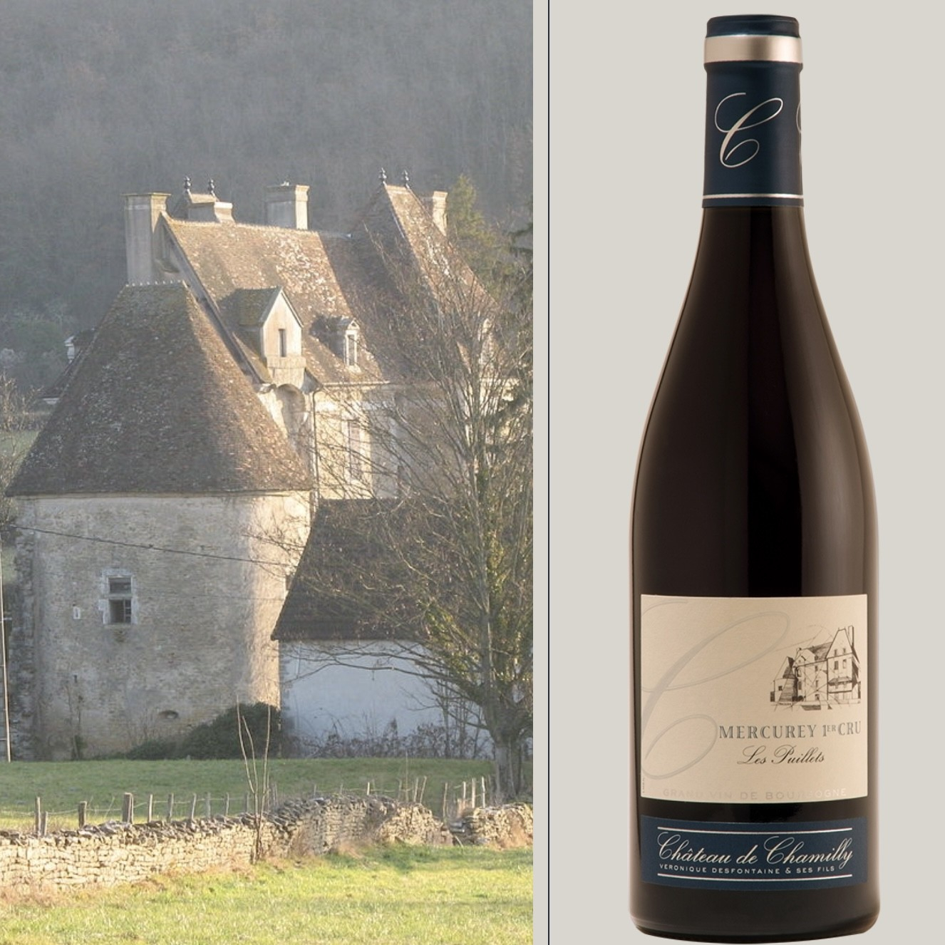 Ch�teau de Chamilly, Mercurey 1er Cru Les Puillets