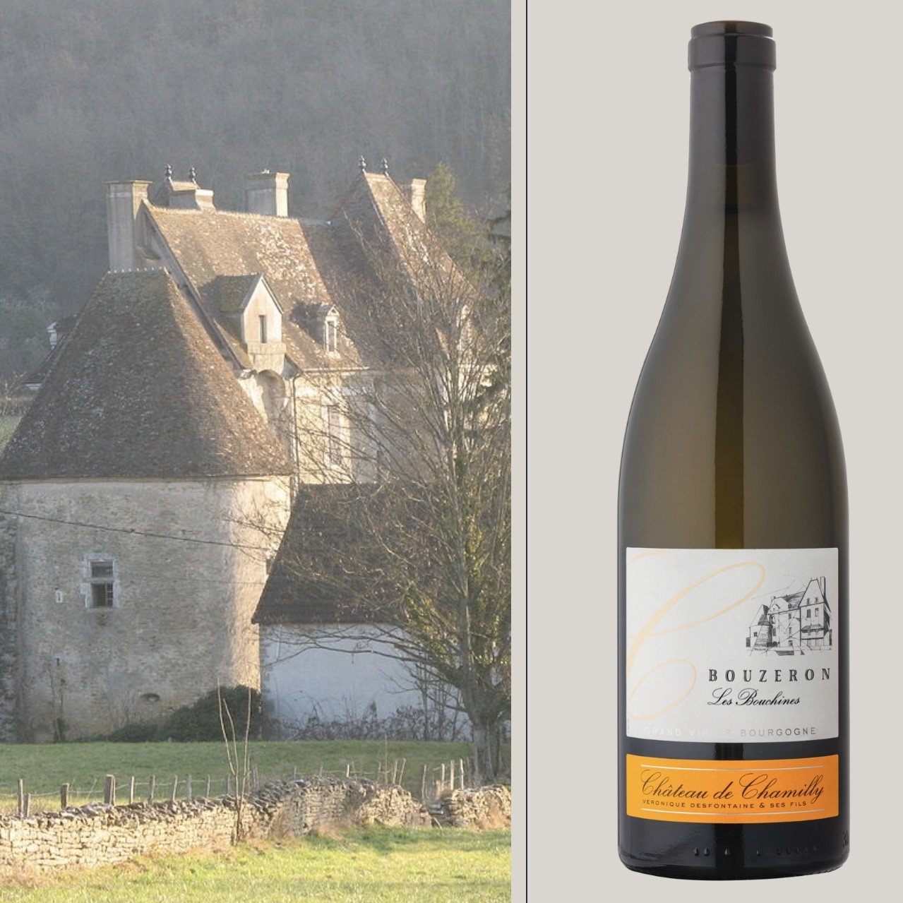 Ch�teau de Chamilly, Bouzeron Les Bouchines