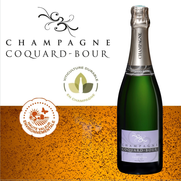 Champagne Coquard-Bour, Brut Tradition