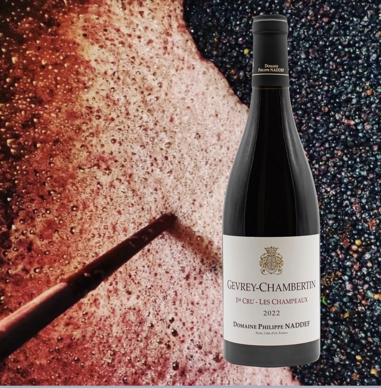 Philippe Naddef, Gevrey Chambertin 1 cru Les Champeaux 