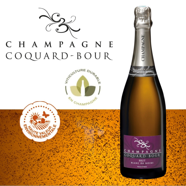 Champagne Coquard-Bour, Brut Blanc de Noirs