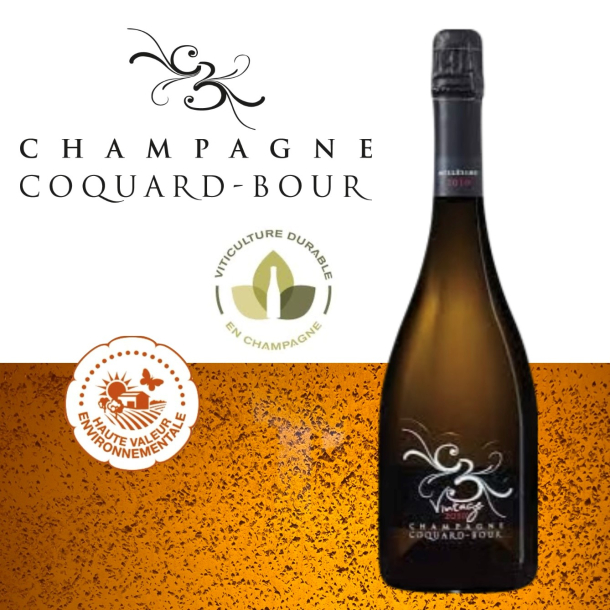 Champagne Coquard-Bour, Vintage 2011