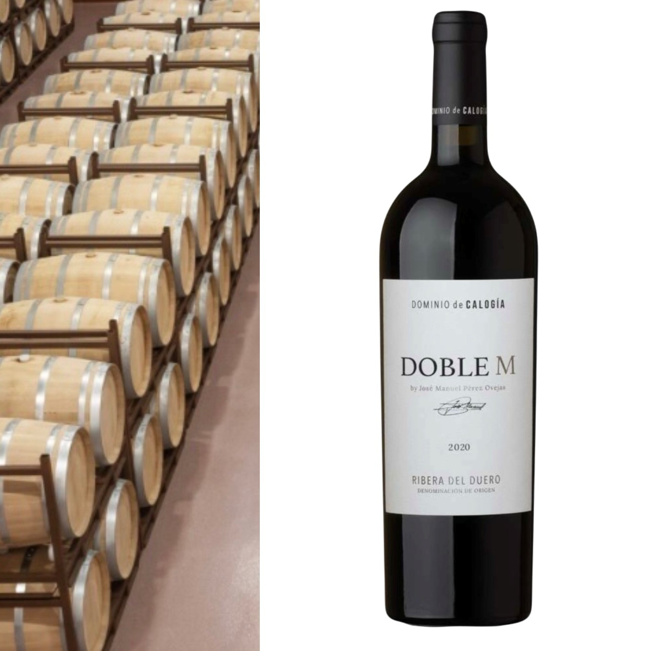 Dominio de Calogia, Doble M