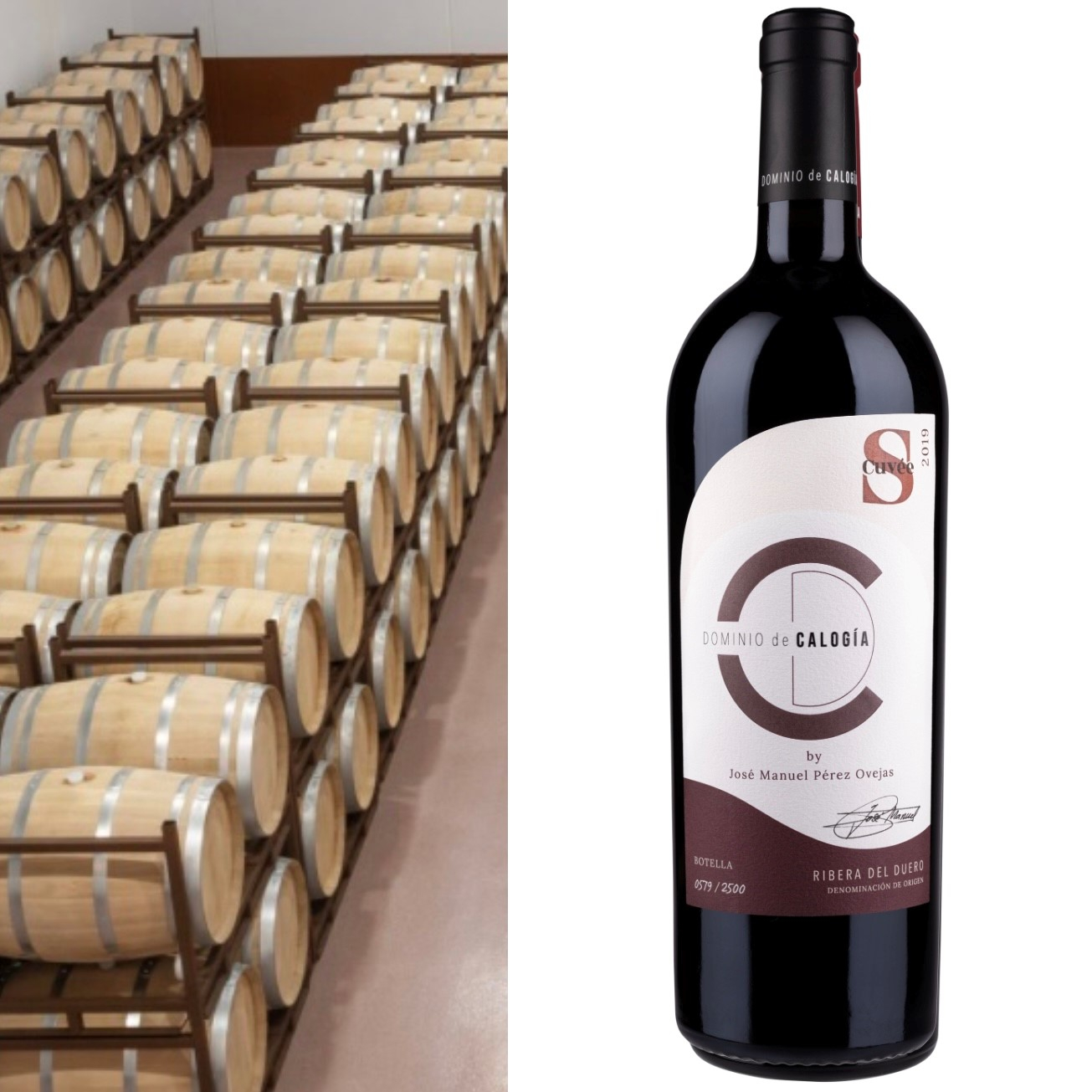 Dominio de Calogia Cuv�e S 