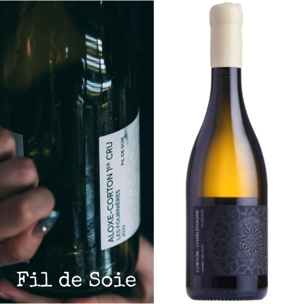 Fil de Soie - Corton Charlemagne Grand Cru, 2023