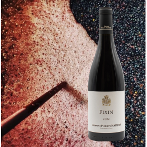 Philippe Naddef, Fixin