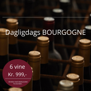 Dagligdags Bourgogne 