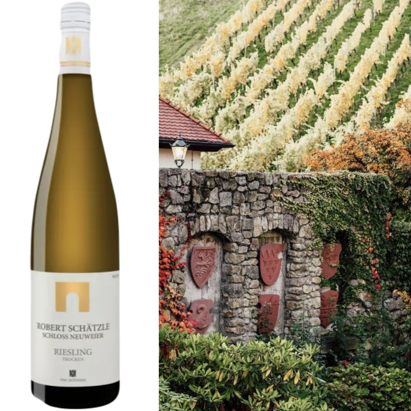 Schloss Neuweier, Sauvignon Blanc trocken