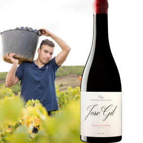 Jos� Gil - Vinedos En Labastida, 2024