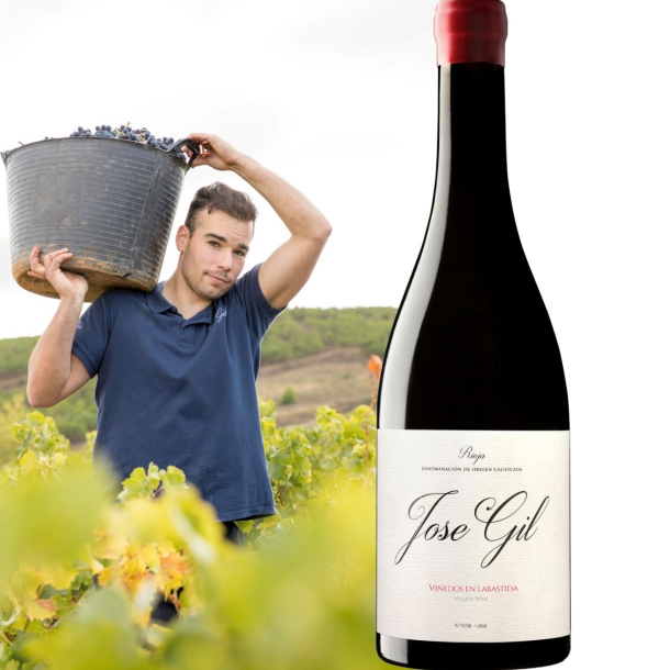 Jos� Gil - Vinedos En Labastida, 2024