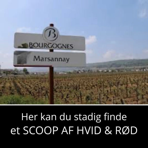 Marsannay - bliv klogere og g�r et scoop. 3. oktober 2026