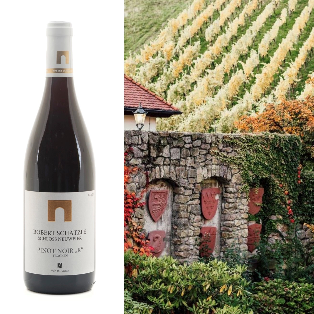Schloss Neuweier, Pinot Noir R