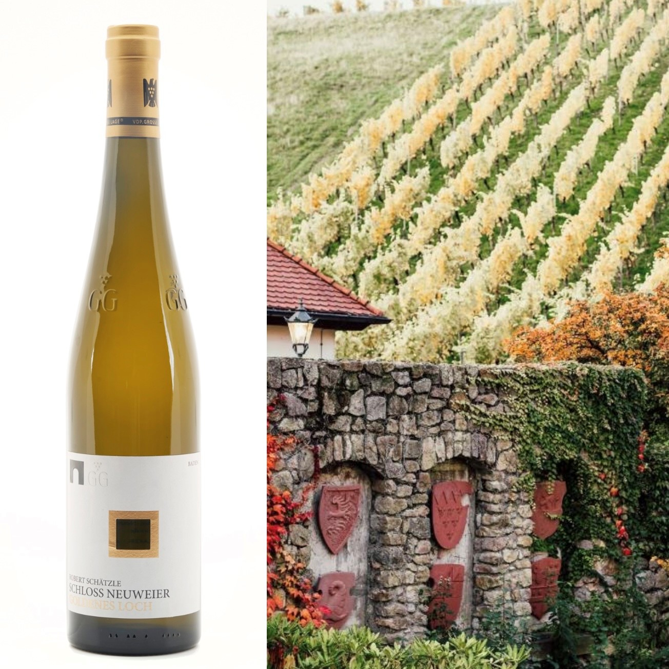 Schloss Neuweier, Riesling Goldenes Loch Grosse Lage (grand cru)