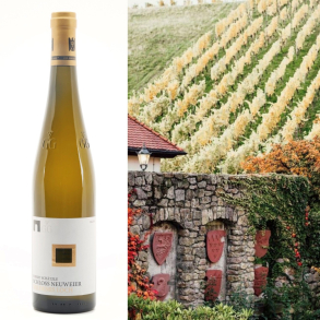 Schloss Neuweier, Riesling Goldenes Loch Grosse Lage (grand cru)