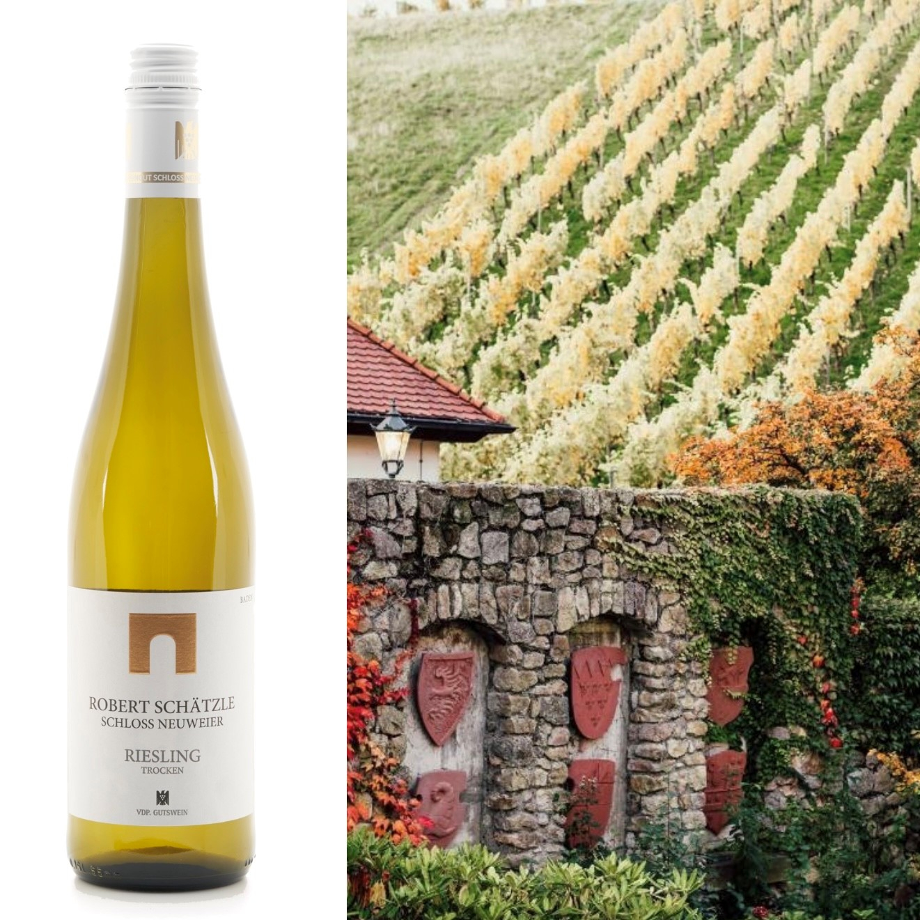 Schloss Neuweier, Riesling Trocken