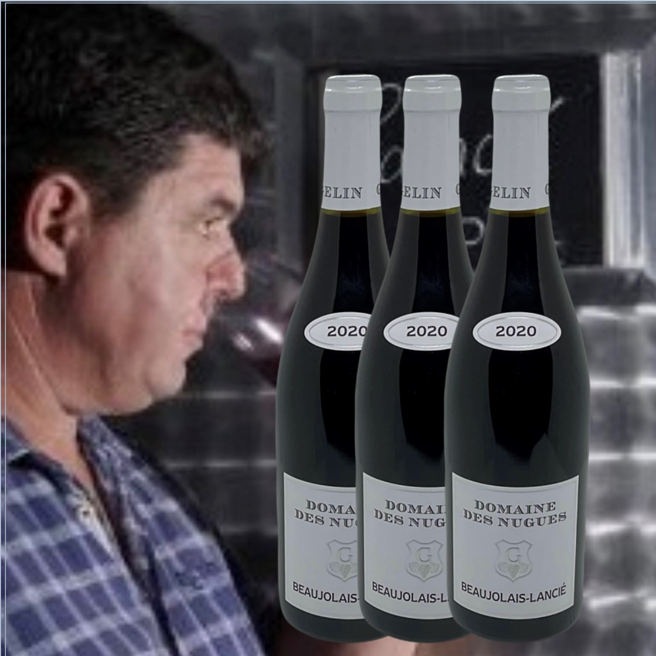 Domaine des Nugues, Beaujolais-Lanci� Rouge