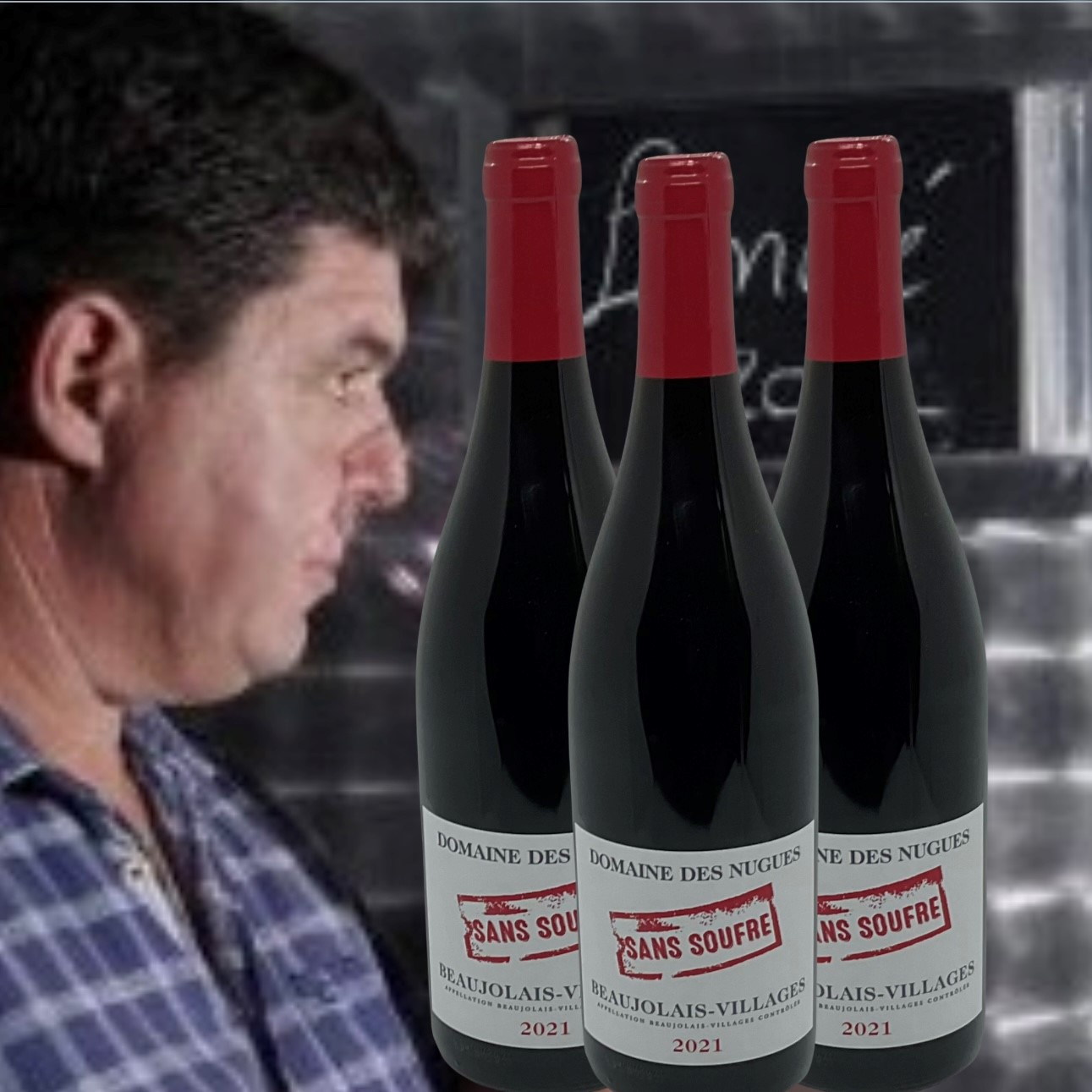 Domaine des Nugues, Beaujolais-Villages Sans Soufre