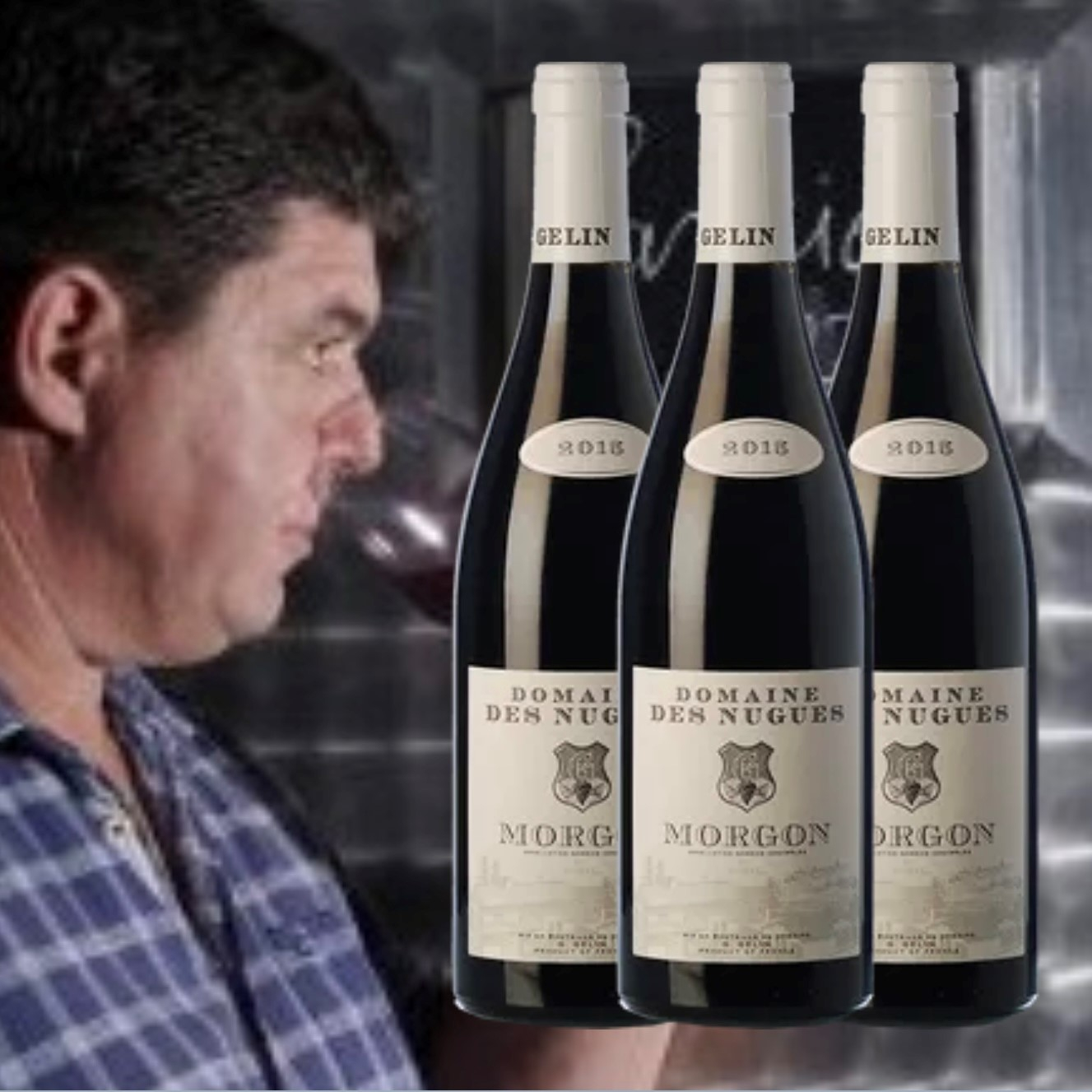 Domaine des Nugues, Morgon - 2020