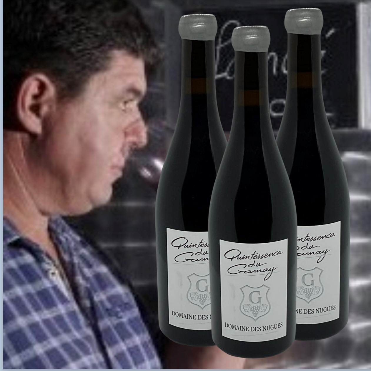 Domaine des Nugues, Quintessence du Gamay