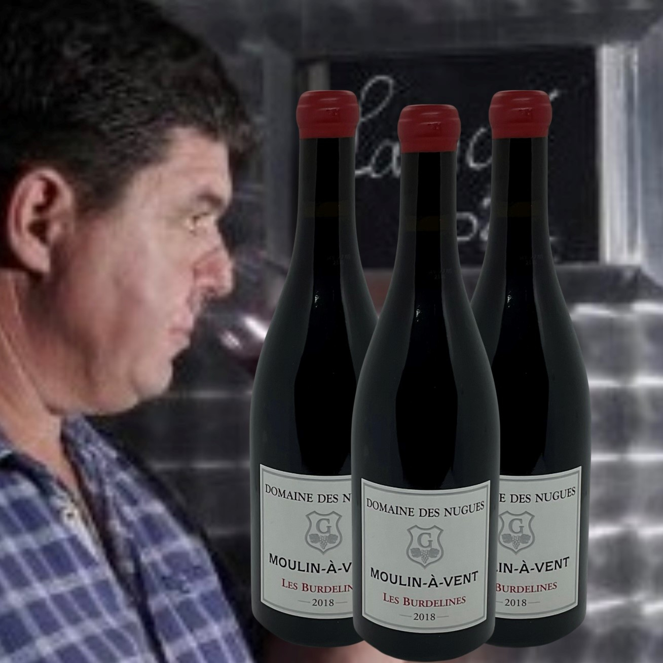 Domaine des Nugues, Moulin-�-Vent, Les Burdelines