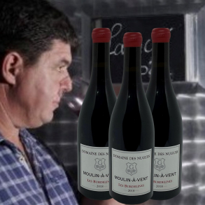 Domaine des Nugues, Moulin--Vent, Les Burdelines