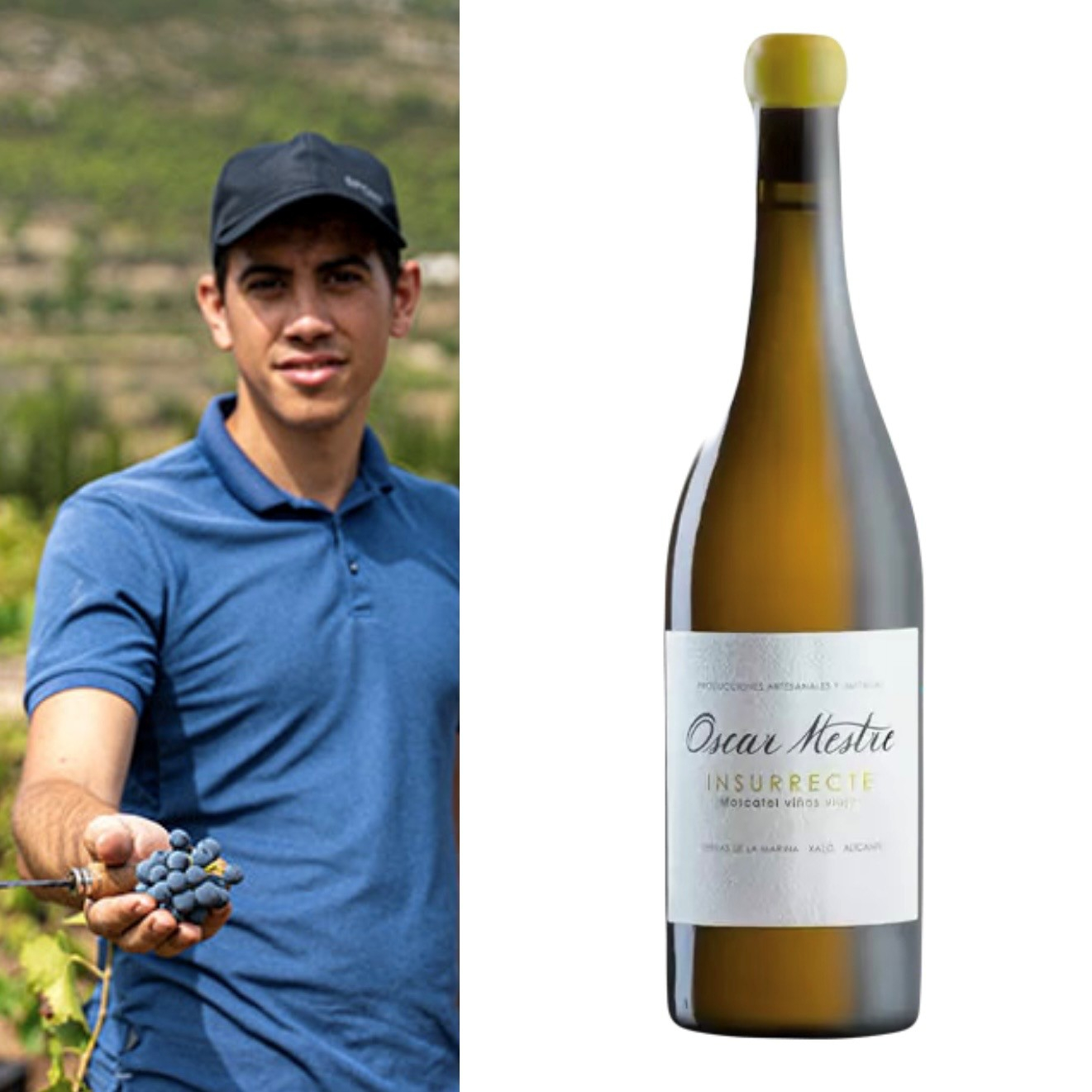 Oscar Mestre - Insurrecte