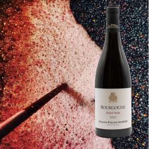Philippe Naddef, Bourgogne Cote D'Or Pinot Noir 