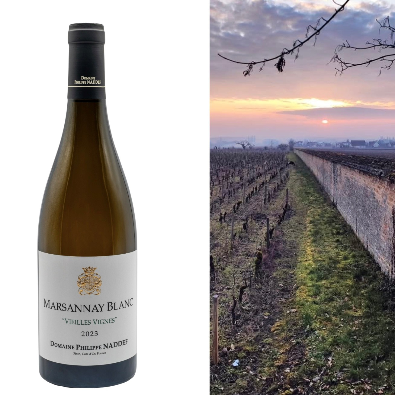 Philippe Naddef, Marsannay Blanc