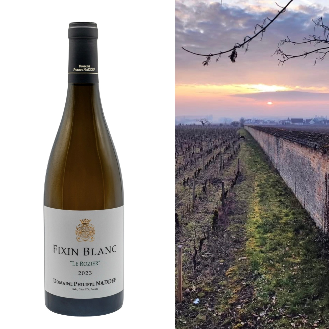 Philippe Naddef, Fixin Blanc Le Rozier