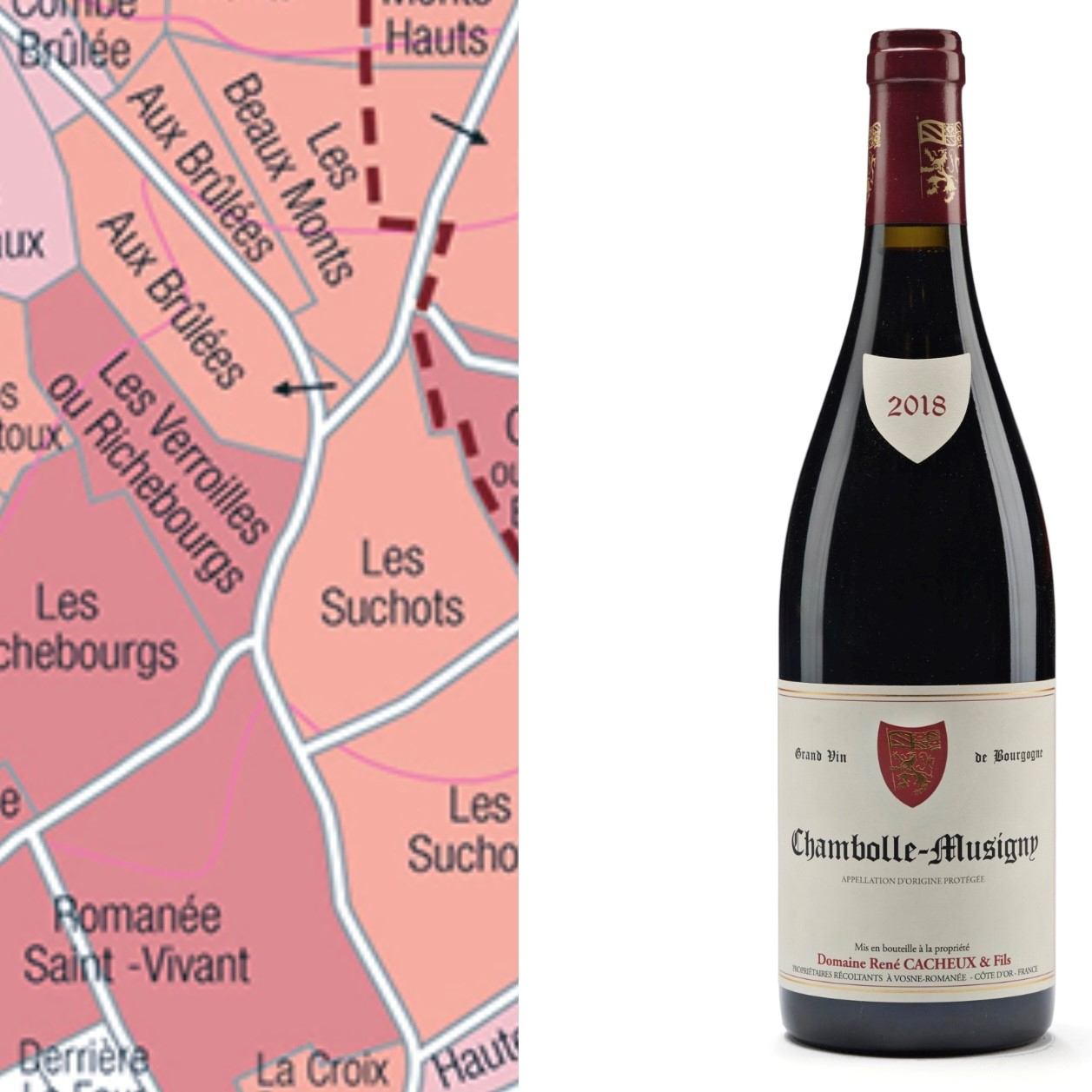 Ren� Cacheux & Fils, Chambolle-Musigny 