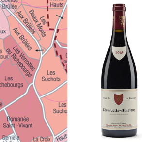 Ren Cacheux & Fils, Chambolle-Musigny 