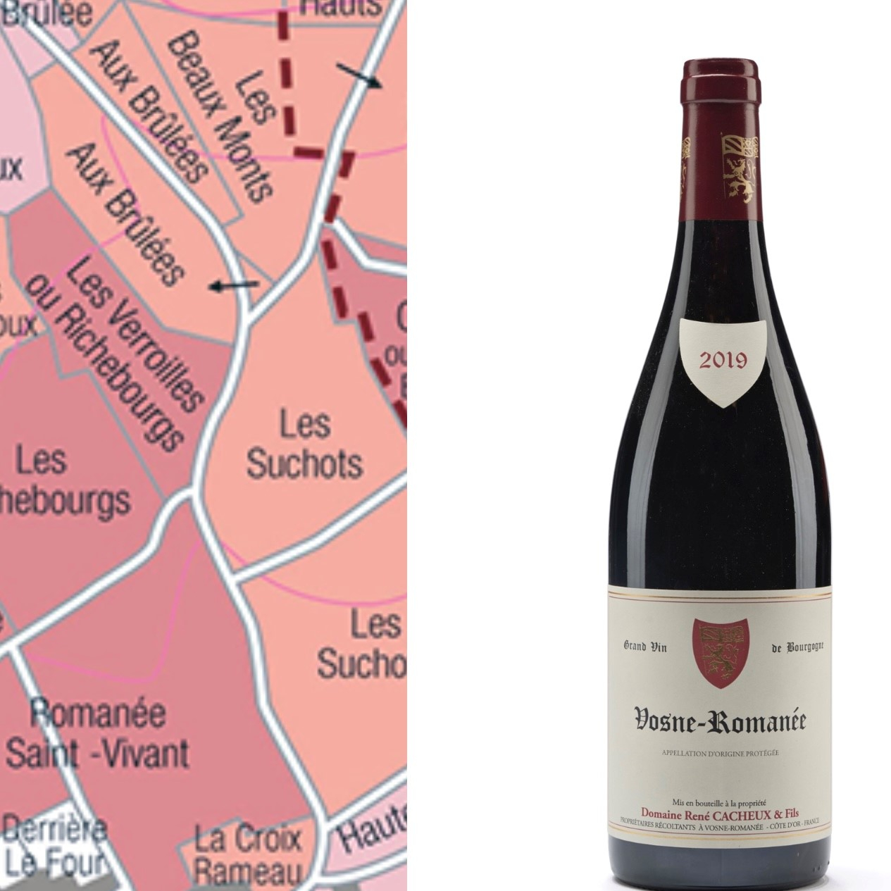 Ren� Cacheux & Fils, Vosne-Roman�e