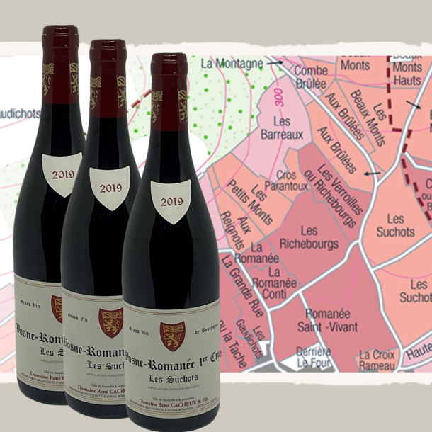 Ren Cacheux &amp; Fils, Vosne-Romane 1 cru Les Suchots