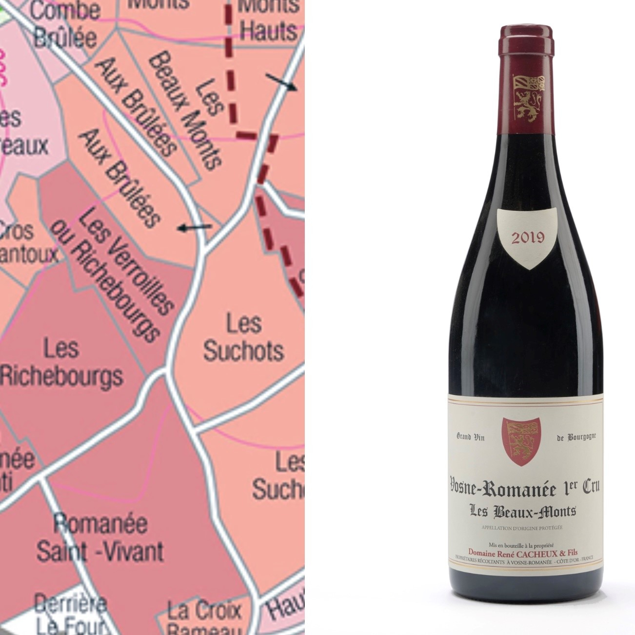 Ren� Cacheux & Fils, Vosne-Roman�e 1 cru Les Beaux-Monts