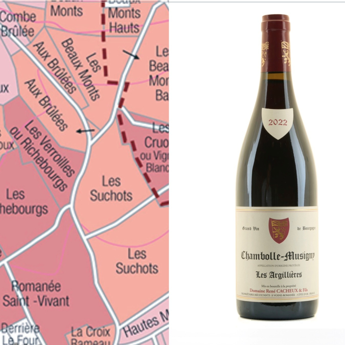 René Cacheux & Fils, Chambolle-Musigny 