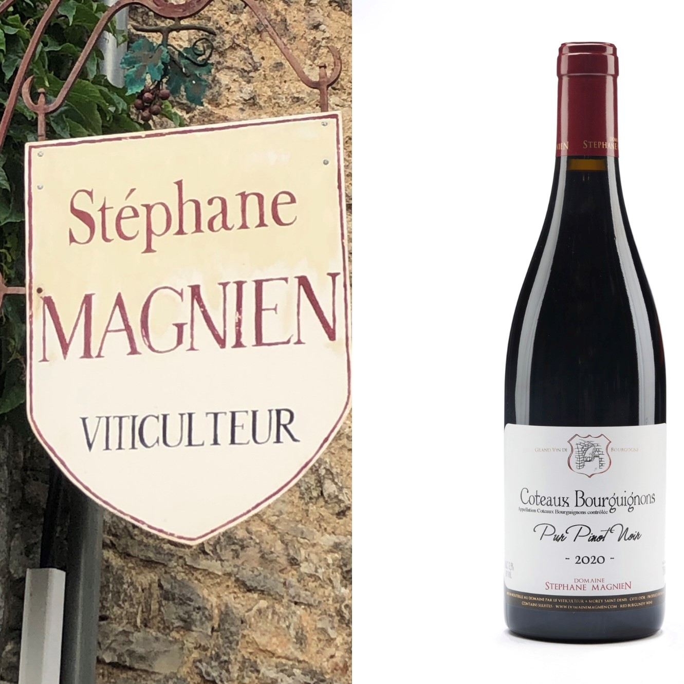 St�phane Magnien, Coteaux Bourguignons Pur Pinot Noir