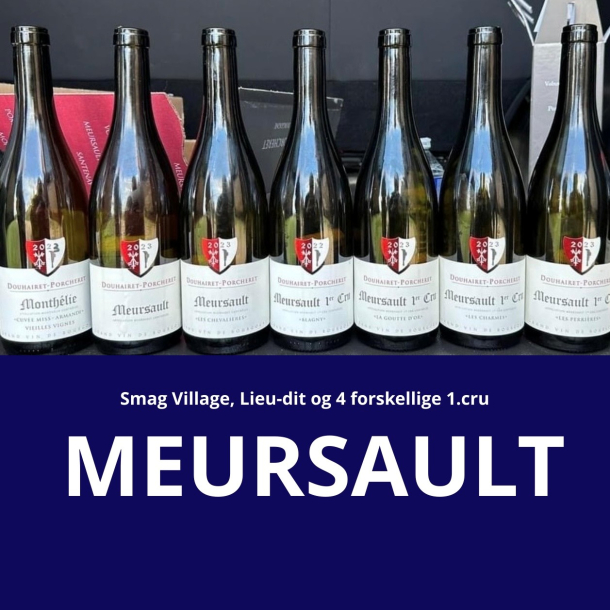 Smagning: Meursault 14. august 2025