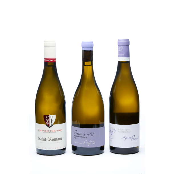 Vin for begyndere afsnit 32: Cote d`Or, p skattejagt i baglandet 